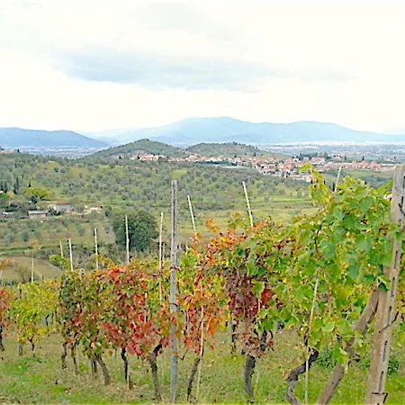 La Solaria Carmignano